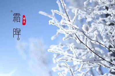 葉落草枯，秋晚凝霜