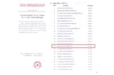 熱烈慶賀我司旗下子公司深點軟件進(jìn)入長沙“三百之星”企業(yè)名單